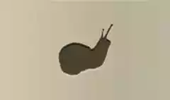 Snail silhouette