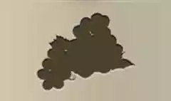 Grapes silhouette