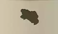 Grapes silhouette
