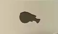 Fugu silhouette
