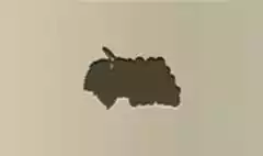 Grapes silhouette