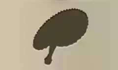 Hand Fan silhouette