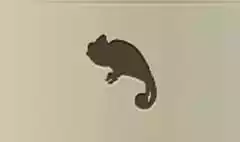 Chameleon silhouette