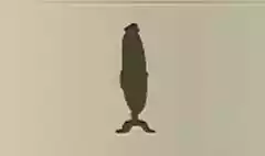 Mirror silhouette
