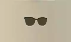 Sunglasses silhouette