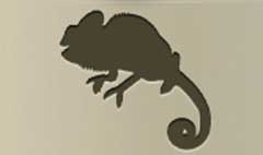 Chameleon silhouette