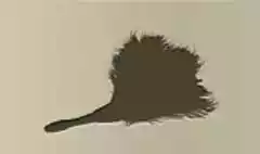 Feather Duster silhouette