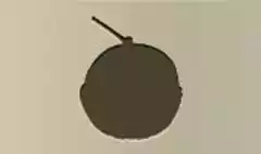 Melon silhouette