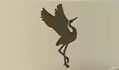 Crane silhouette