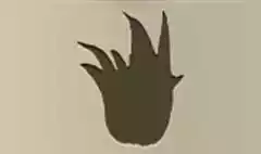Buddha's Hand Citron silhouette