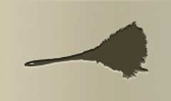 Feather Duster silhouette