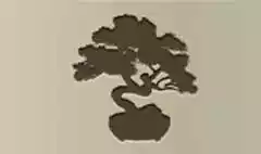 Bonsai silhouette