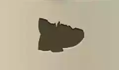Melon silhouette