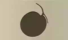 Melon silhouette