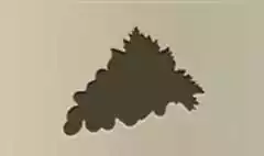 Grapes silhouette