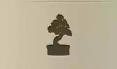 Bonsai silhouette