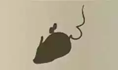 Clockwork Mouse