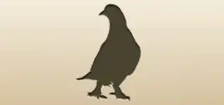 ハトのシルエット