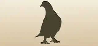 ハトのシルエット