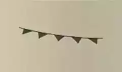 Bunting Flags