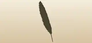 鳥の羽のシルエット