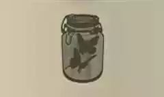 Butterflies in a Jar