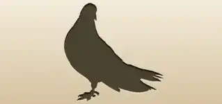 ハトのシルエット