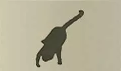 ネコ