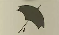かさ