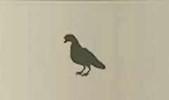 鳥