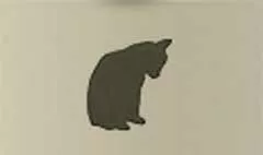 ネコ