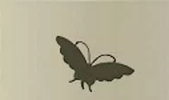 蝶