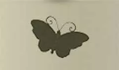 蝶
