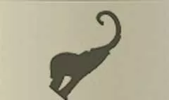 象