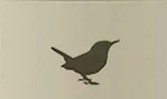 鳥