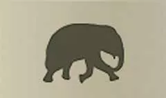 象